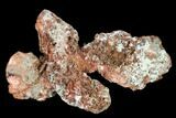 Natural, Native Copper Formation - Michigan #139537-1